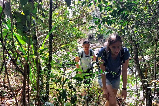 Kampot Day Tour "Bokor National Park" - Popokvil Waterfall: a calm break, not a marathon