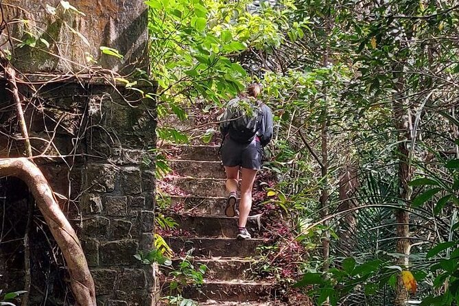 Kampot Day Tour "Bokor National Park" - Bokor National Park time: views, forest roads, and the in-between moments