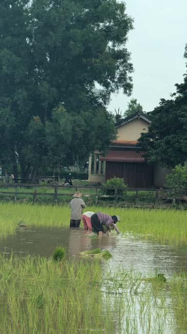 Kampot Pepper and Salt Field, Secret Lake, Kep &Crab Market - Secret Lake (Brotek Krola Dam): A Quiet Break in the Middle of Work