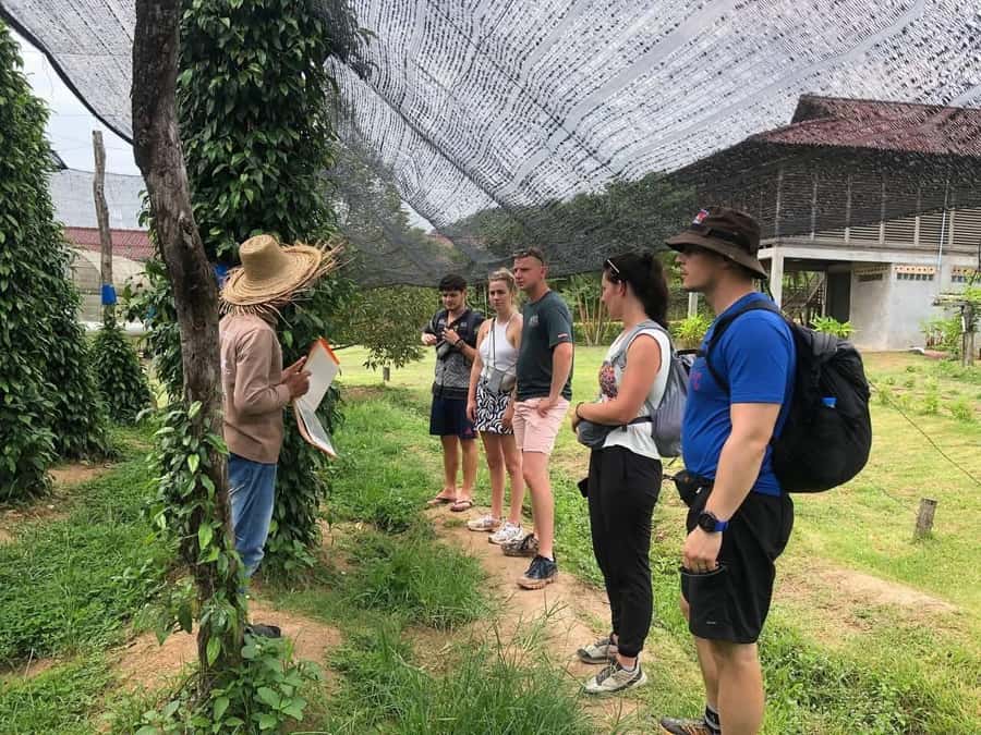 Kampot Private Tour: Pepper Farm, Salt Field & Secret Lake - Bratek Krola secret lake: the short break that changes the mood