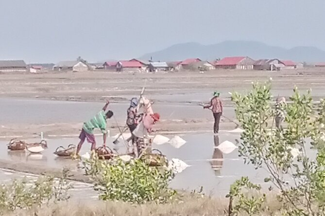 KAMPOT TRAVEL-Pepper farm. Cave.Secret lake-Crab market & Salt... - Phnom Chhngok Cave Temple: Hindu cave temple time, about 1 hour