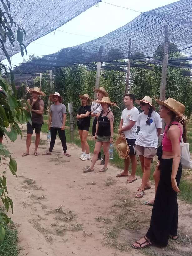 Kampot: Tuk Tuk Trip to Pepper Farm, Kep, Crab Market & More - Who this tour suits best (and who should think twice)