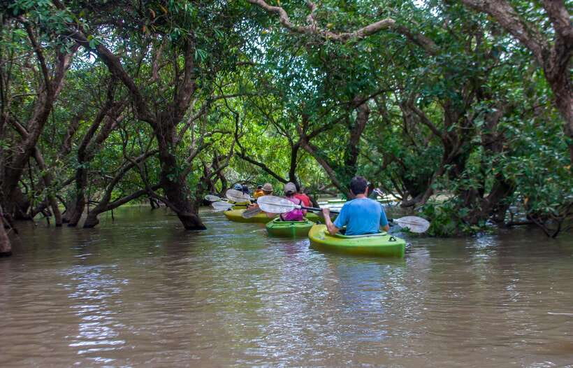 Kayaking & Floating Village in Siem Reap - Key things you’ll remember