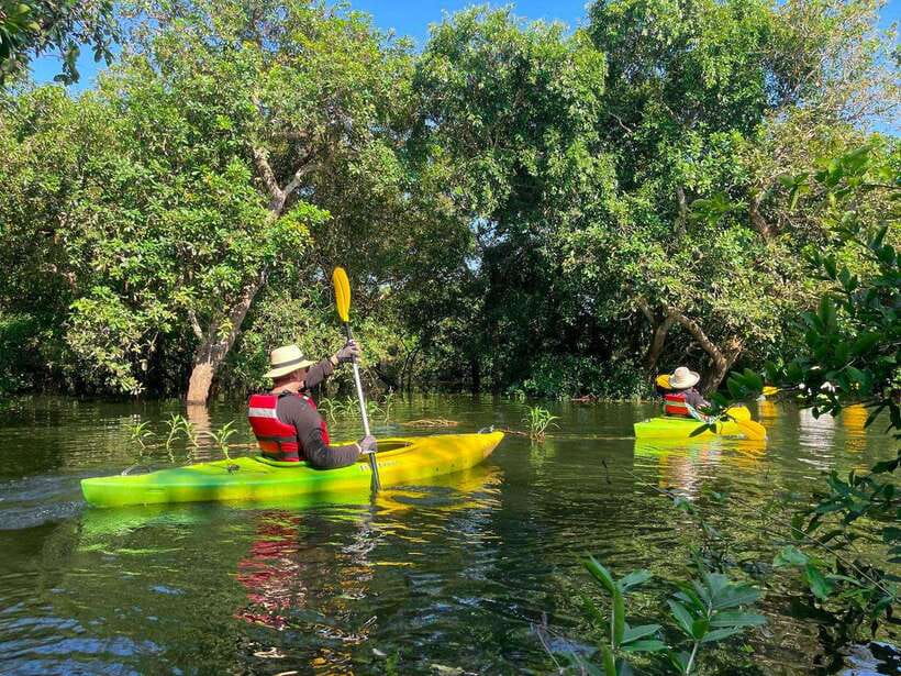 Kayaking & Floating Village in Siem Reap - Floating village time: kayaking among homes on the water