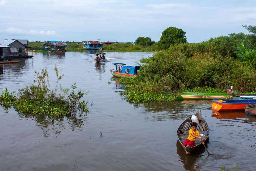 Kayaking & Floating Village in Siem Reap - Mangrove kayaking and bird watching: the main highlight