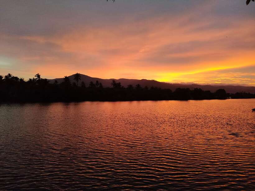 Kayaking tour around green cathedral - Kayaking Kampot’s Green Cathedral river, the way you actually want to see it