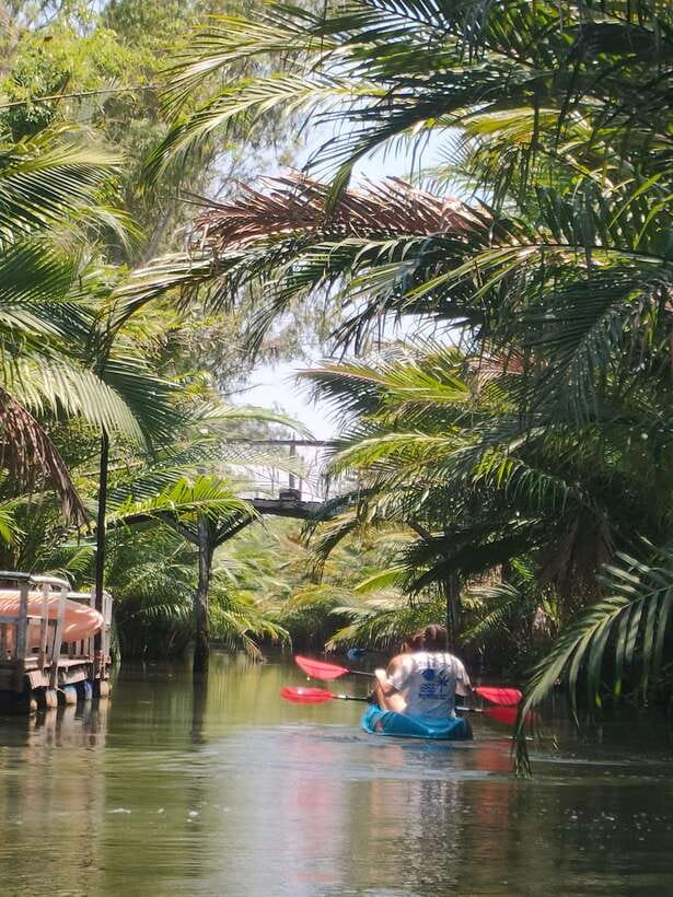 Kayaking tour around green cathedral - Price and value: why $25 can feel like a bargain