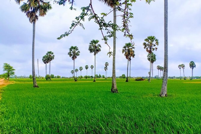 Killing Field & Paddy Rice Fields Tuk Tuk Adventure - A Morning Escape From Phnom Penh to Real Khmer Countryside