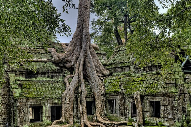 "Killing Fields & Landmine Museum: Private Guided Tour - Who should book this tour, and who should skip it
