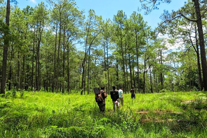 Kirirom National Park Private Day Tour from Phnom Penh - Why Kirirom feels like a reset from Phnom Penh