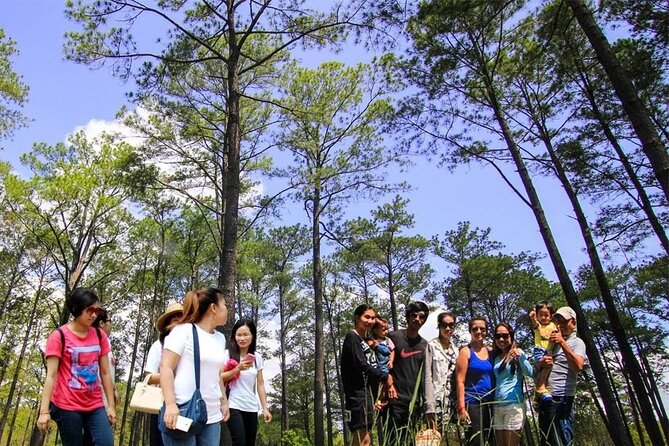Kirirom National Park Private Day Tour from Phnom Penh - How the hike works on the ground (and what to expect)