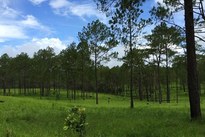 Kirirom National Park Private Day Tour from Phnom Penh - Chambok village life: three streams, plant knowledge, and real conversations