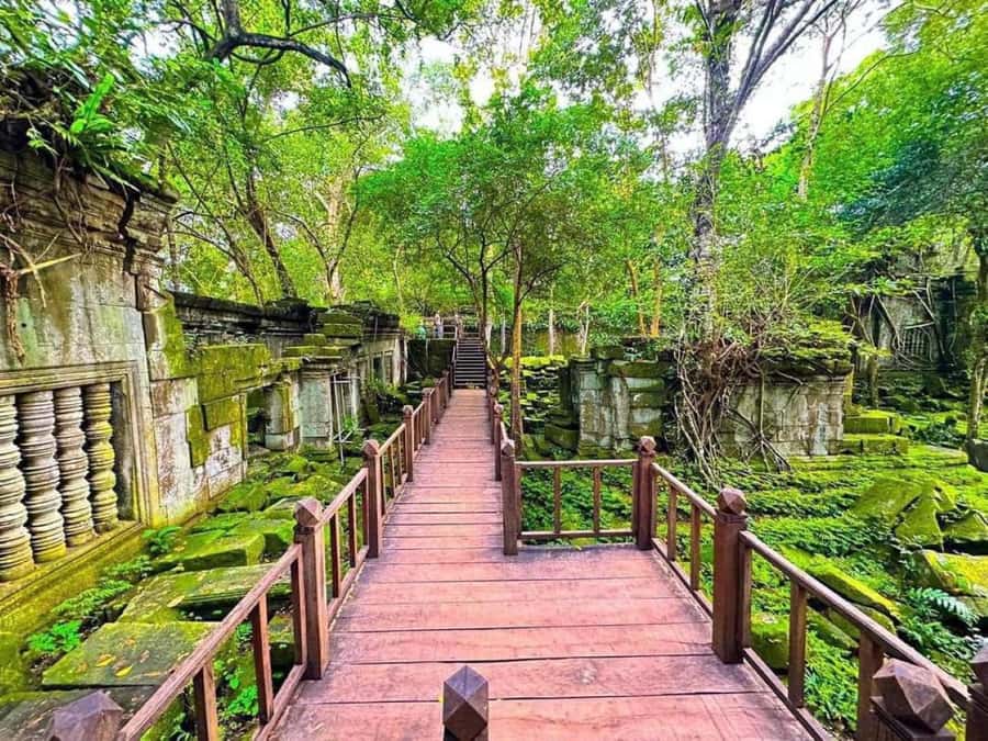 Koh Ker & Beng Mealea Temple Guided Tour - Getting out of Siem Reap: distance, pickups, and timing reality