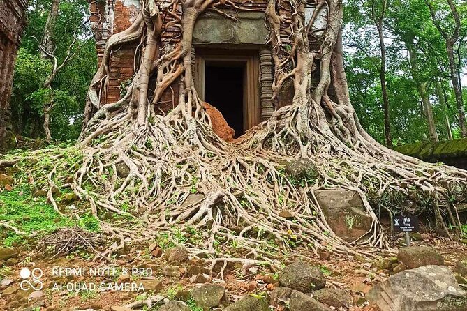 Koh Ker Pyramid Temple & Beng Mealea Jungle Temple - Should you book this private Koh Ker and Beng Mealea tour?