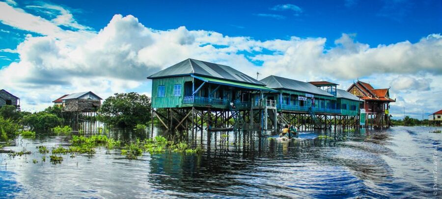 Kompong Phluk Floating Village Tour from Siem Reap - Animal encounters: what to know before you go