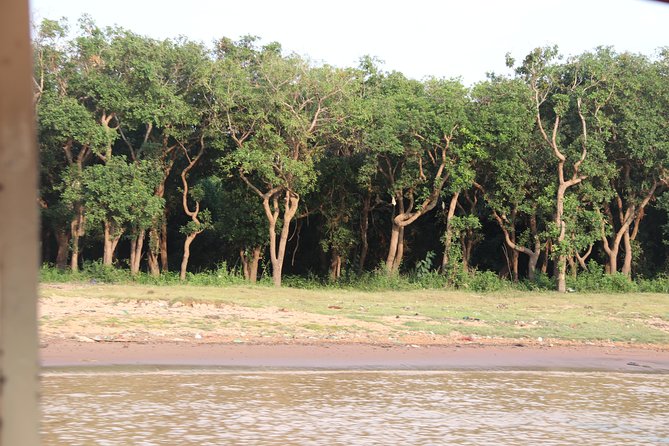 Kompong Phluk Half-Day Tour from Siem Reap - Stop-by-stop: what Kompong Phluk time is really like