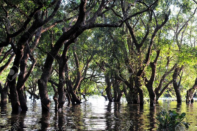 Kompong Phluk Village Tonle Sap Lake Half-Day Tour From Siem Reap - Kompong Phluk village: stilt homes, the monks training school, and the Pergola