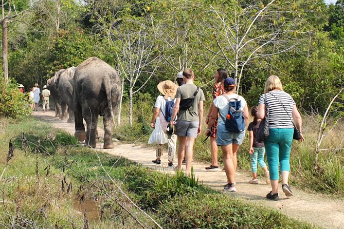 Kulen Elephant Forest by private tour - How a private 9-hour day actually feels in real life