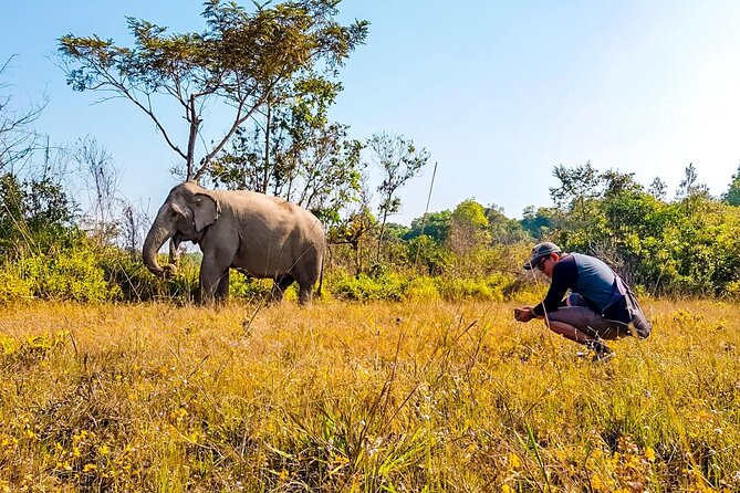 Kulen Elephant Forest by private tour - What to pack for Phnom Kulen and the elephant forest day