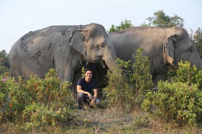 Kulen Elephant Forest & Kampong Phluk by Private Tour - Phnom Kulen National Park: meeting elephants up close, with rules that matter