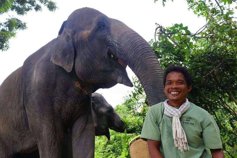 Kulen Elephant Forest Siem Reap in Small Group - Observation trekking through the forest, not just around it