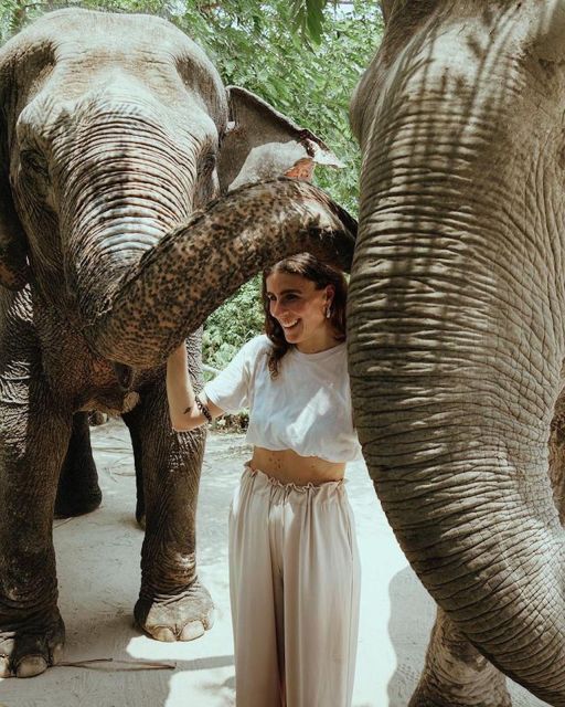Kulen Elephant Forest Siem Reap in Small Group - Price and value for a 5-hour small-group day