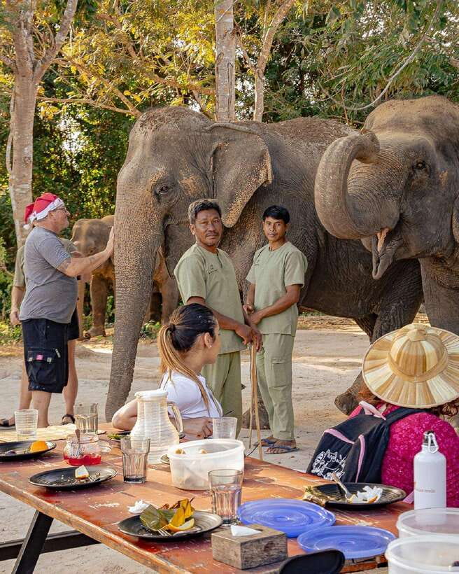 Kulen Elephant Forest & Tonlesap Lake - Entering Kulen Elephant Forest, then Tonle Sap life