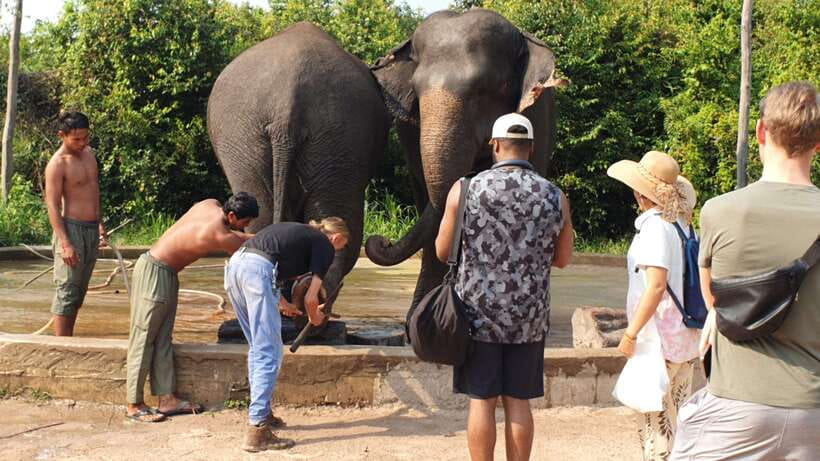 Kulen Elephant Forest & Tonlesap Lake - The canoe through flooded forests, and when it’s worth the extra cost