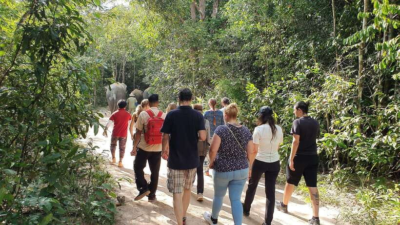Kulen Elephant Forest & Tonlesap Lake - Price and what you get for $126 in Siem Reap