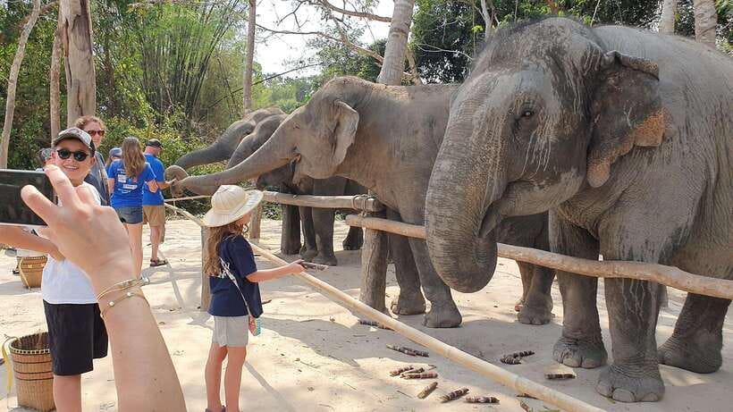 Kulen Elephant Forest & Tonlesap Lake - Getting to Kulen from Siem Reap, with air-conditioned comfort
