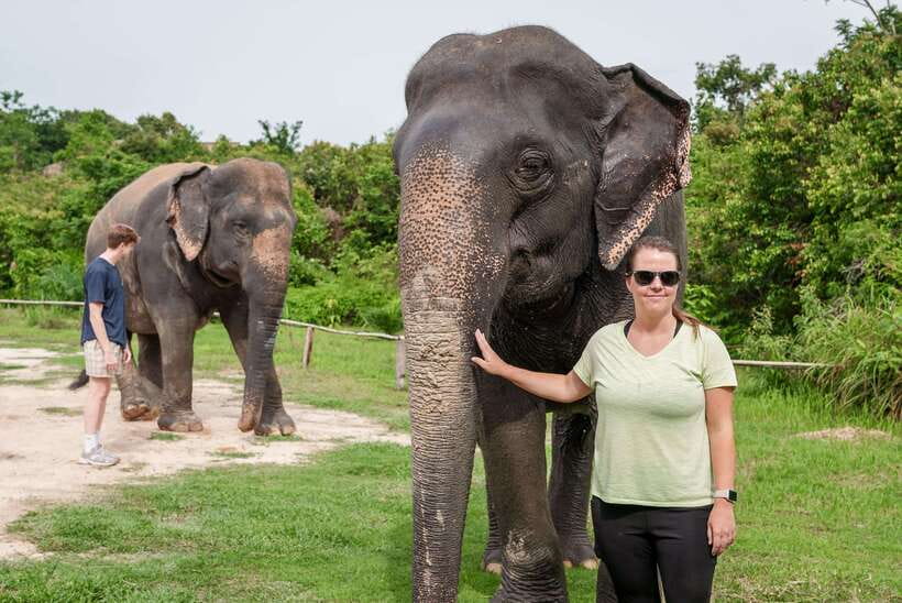 Kulen Elephant Forest Tour with Hotel Pick-up & Drop off - The timing that shapes your whole experience