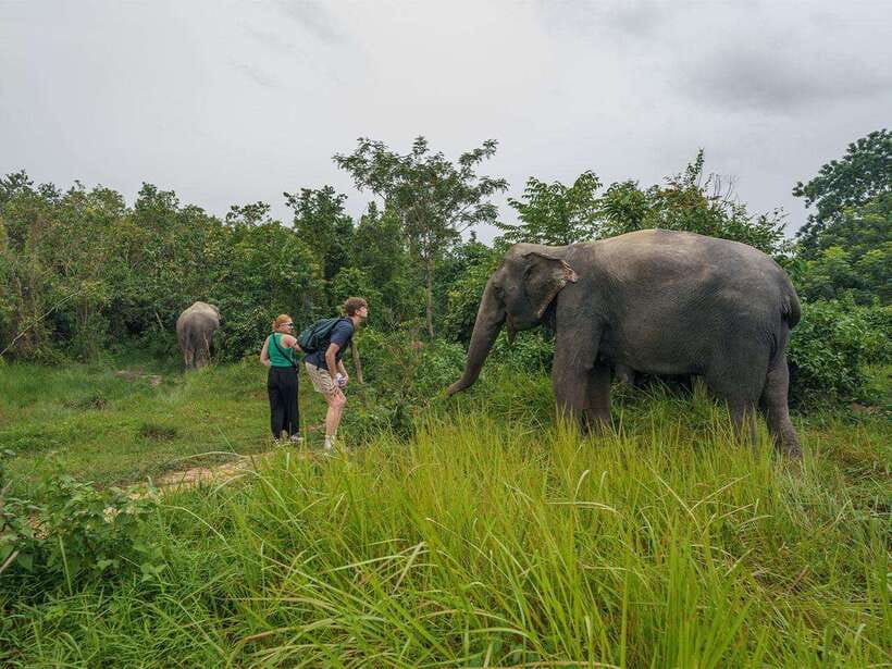 Kulen Elephant Forest Tour with Hotel Pick-up & Drop off - Pickup and transport: easy on logistics, efficient on time