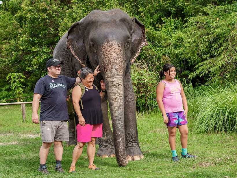 Kulen Elephant Forest Tour with Hotel Pick-up & Drop off - Arriving at the camp: briefing, photos, and the first elephant cues