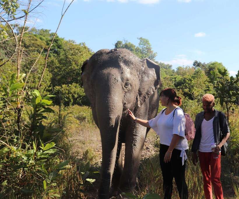 Kulen Mountain Day Trip with Picnic & Kulen Elephant Forest - Phnom Kulen’s most famous sights: waterfalls, reclining Buddha, and 802 AD linga river