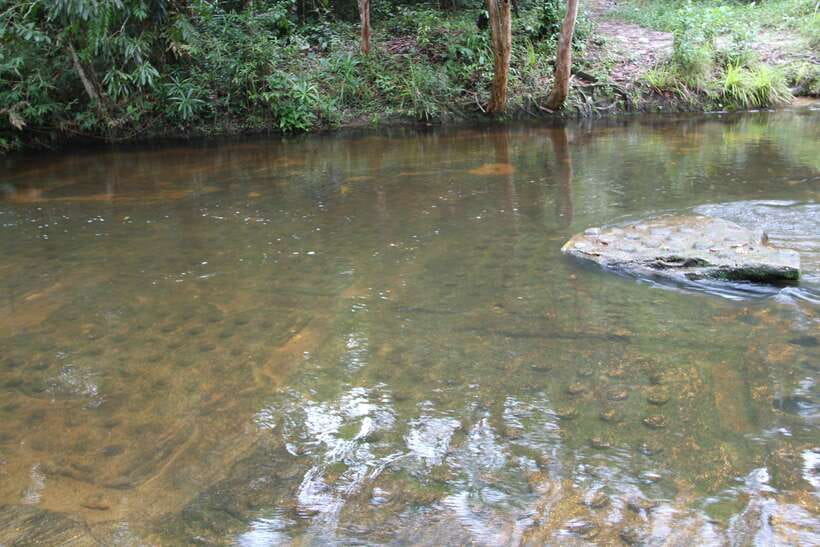 Kulen Mountain: Full-Day Private Waterfall Tour - Price and value: is $175 per group worth it?