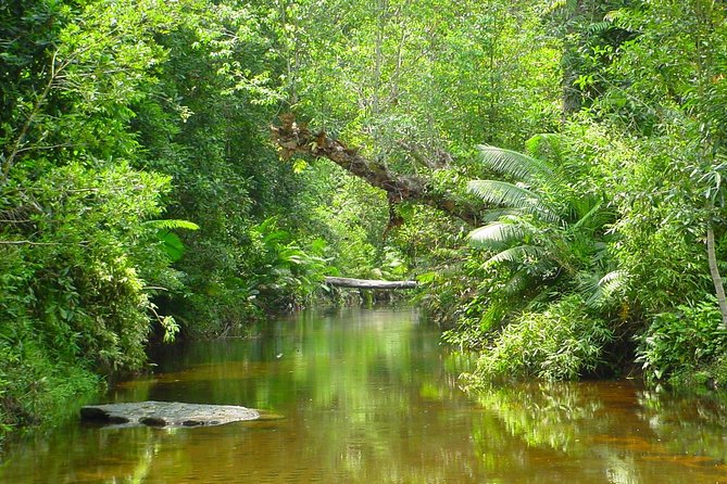Kulen National Park Ticket - Price and value: what you are paying for, and what you are not