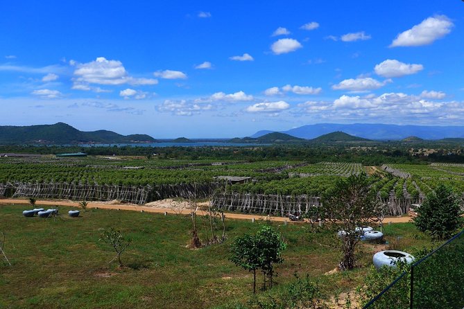 La Plantation tour (discovering Kampot Pepper) + Lunch - The guided farm walk and why it makes pepper make sense