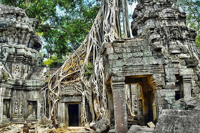 Local French Speaking Guide Angkor Wat Small-Group Tour - Transport Comfort: Tuk Tuk vs Minivan and Why It Matters