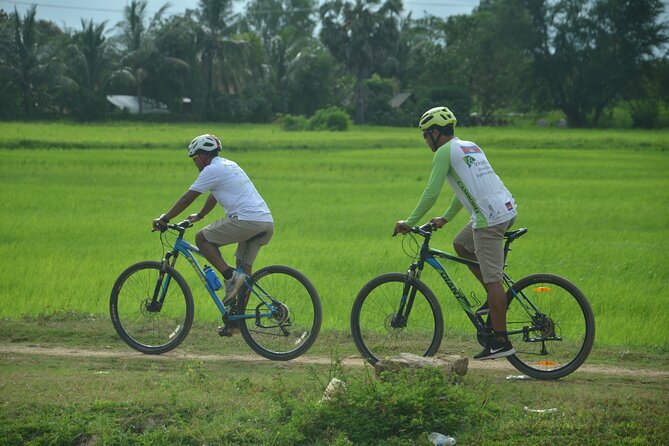 Local Livelihood Full Day Bike Tour in Battambang - Battambang by bike hits a sweet spot between history and daily life