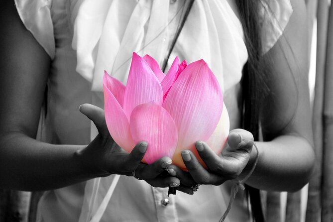 Lotus Silk Farm: Discover Learn and Experiment the Lotus Flower - Price and value: what $47 buys you in 3 hours