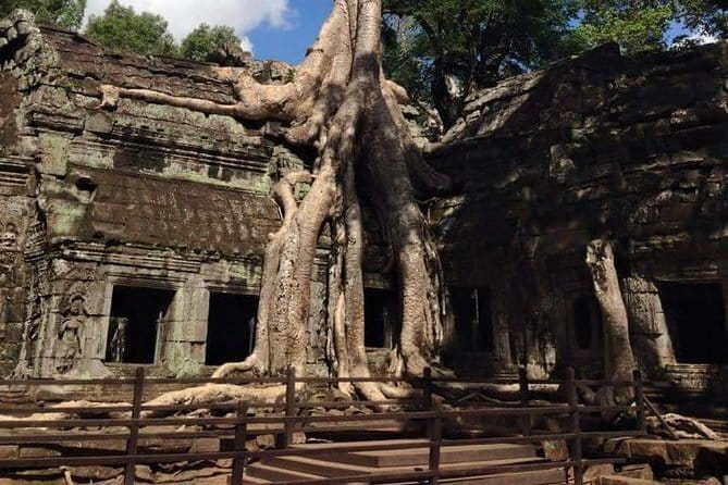 Night Street Tour in Siem Reap - What the $50 price really buys you