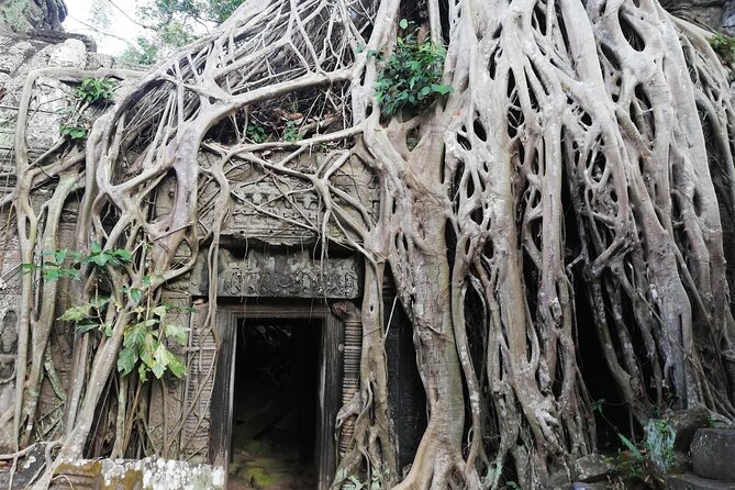 One Day Angkor World Heritage Tour - Price and value: $35 is the hook, tickets are the catch