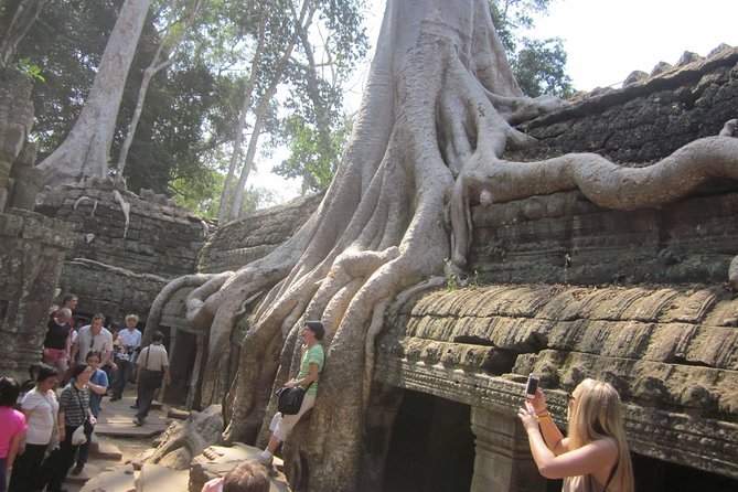 One Day Angkor World Heritage Tour - Should you book this One Day Angkor World Heritage Tour?