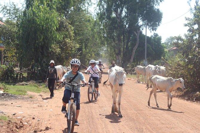 Oudong Mountain And Floating Village Cycle Tour - Lunch and tropical fruits: the Khmer break that keeps you going