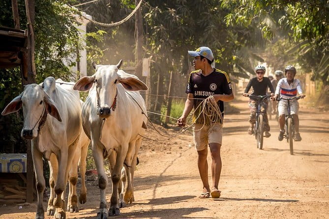Oudong Temples & Phnom Prasith Private Tour from Phnom Penh - The Private Tonle Sap Sunset Cruise That Makes the Day Feel Complete