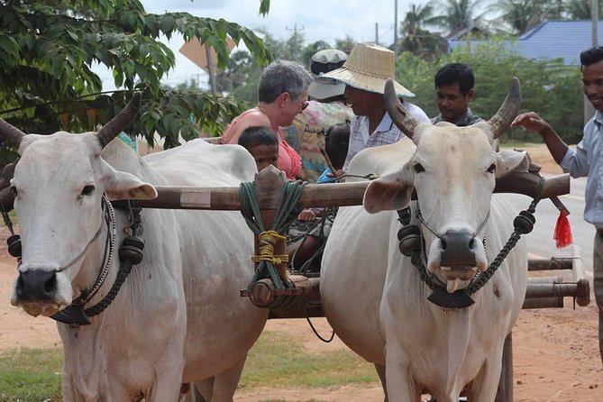 Ox-cart Culture Tour, Countryside Experince in Siem Reap - Leaving Siem Reap for Chreav, 5 kilometers out, not worlds away