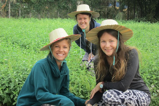Ox-cart Culture Tour, Countryside Experince in Siem Reap - Who this ox-cart culture tour fits best