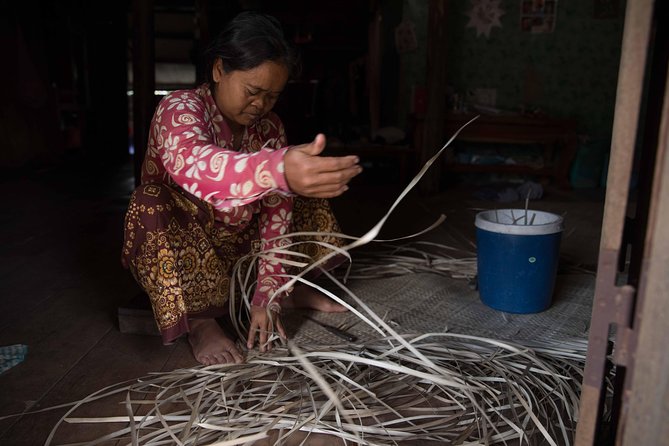 Ox Cart Ride of Rural Cambodia - Rice season timing: how to choose your month for the best stops