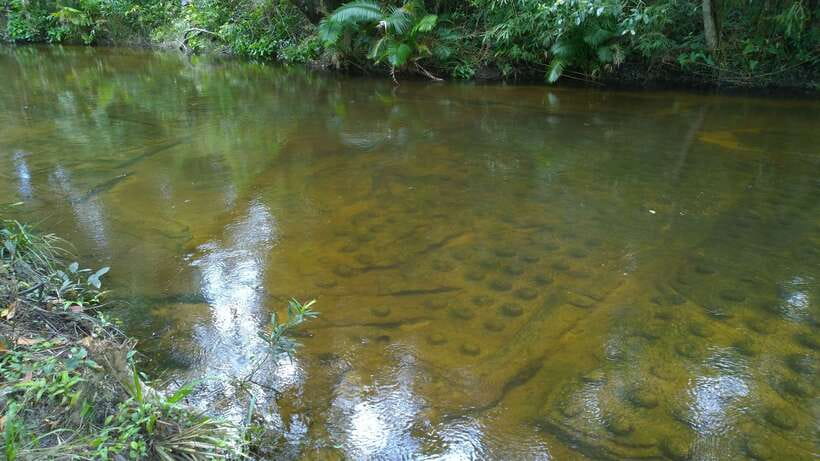Phnom Kulen National Park Admission Ticket - Park Rules That Change Your Day: Shorts, Drones, and Access Limits