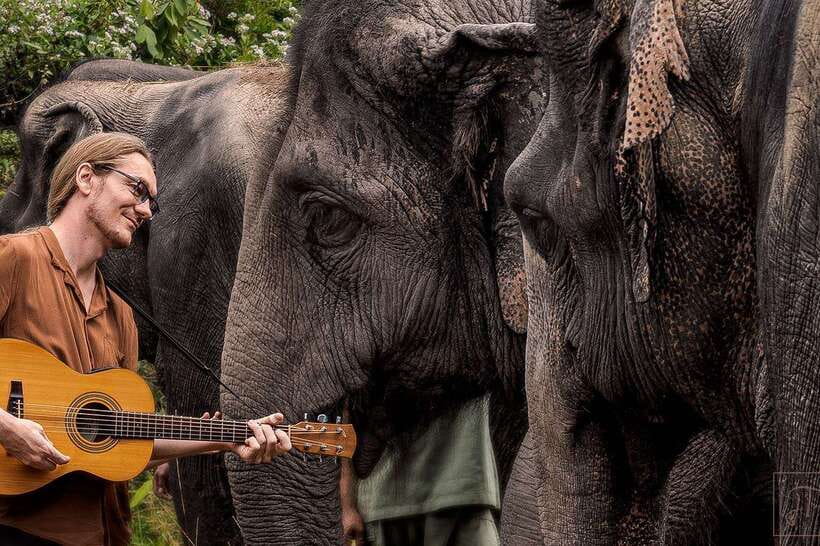 Phnom Kulen Park: Tour with Elephant Forest from Siem Reap - Key Things I’d Put on Your Radar